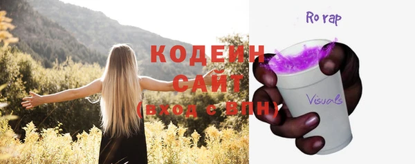 прущие грибы Каменск-Шахтинский