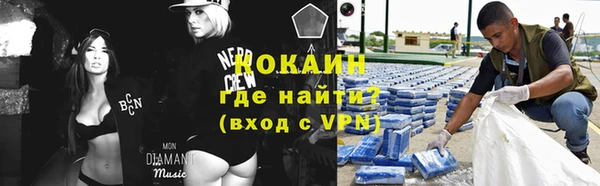 прущие грибы Каменск-Шахтинский