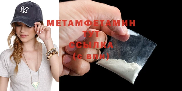 прущие грибы Каменск-Шахтинский