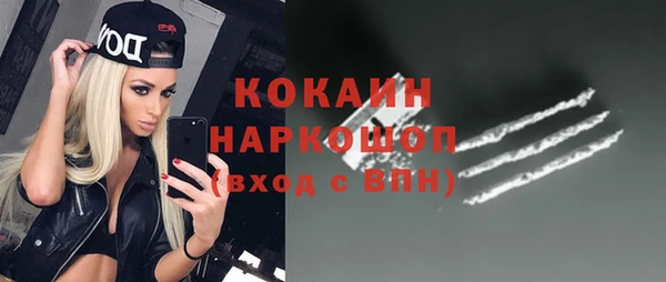 прущие грибы Каменск-Шахтинский