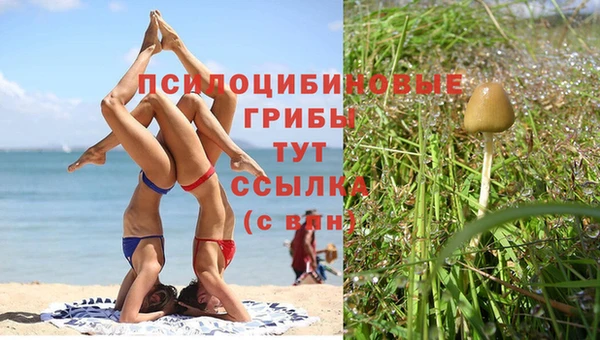 амф Каменногорск