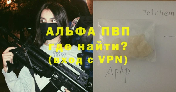 прущие грибы Каменск-Шахтинский