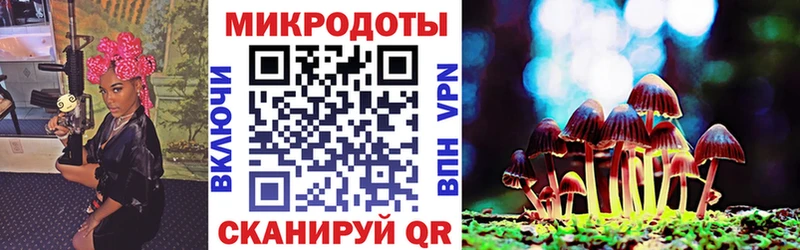 Псилоцибиновые грибы мухоморы  Купить закладки  Дрезна 